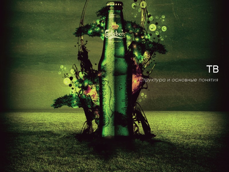 ТВ Структура и основные понятия